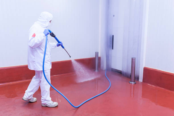 Best Boat and Dock Cleaning  in Chelsea Cove, NY
